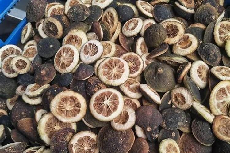 枳壳种植几年可以结果 枳壳怎么养殖