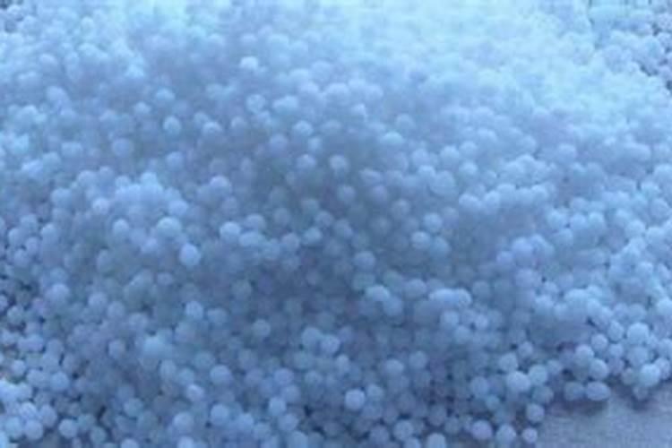 肥料严重烧根怎样补救