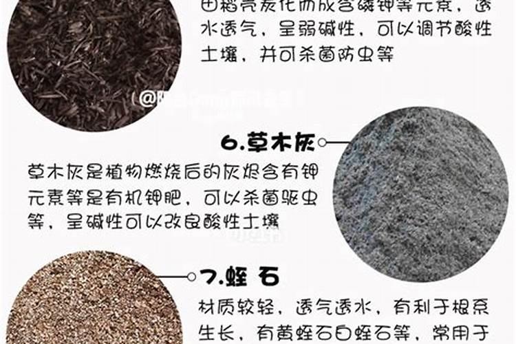 肥料严重烧根怎样补救