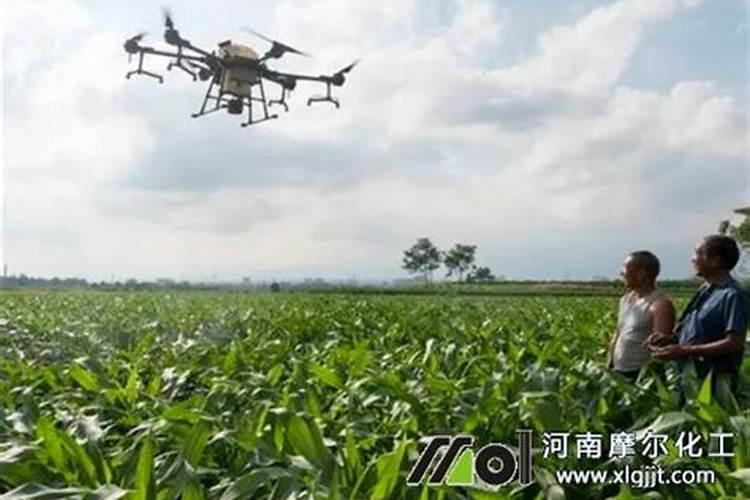 雨后水溶肥可以穴施？