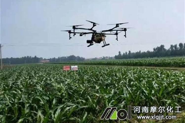 玉米苗打叶面肥大雨前打好还是雨后打好？