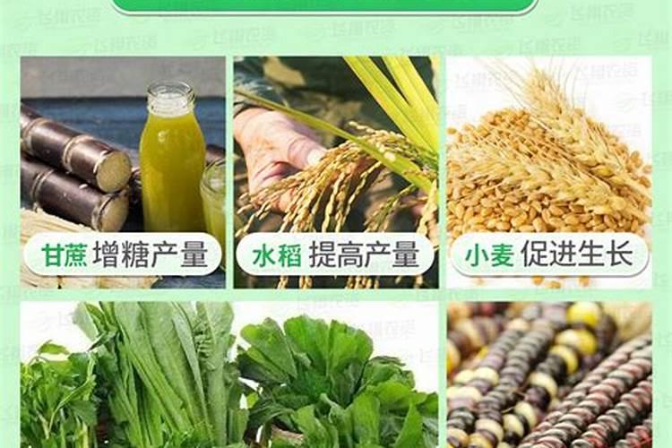 种菜复合肥怎么使用正确
