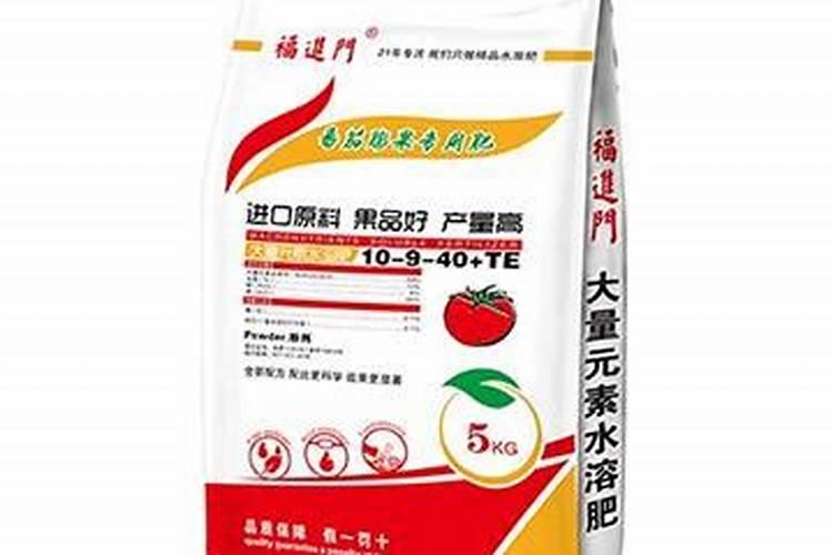 月季花移栽后多久可以施肥