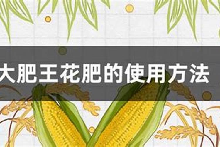 辣椒结果期用什么水溶肥效果好？辣椒膨大期专用叶面肥？