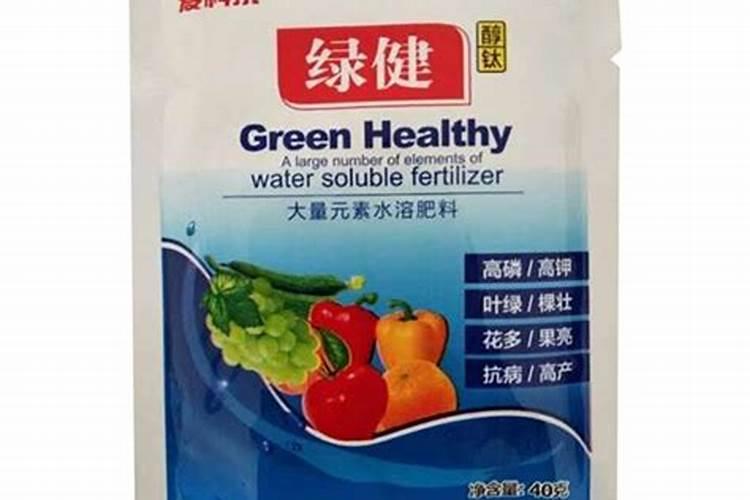 沙糖桔怎么在家盆栽种