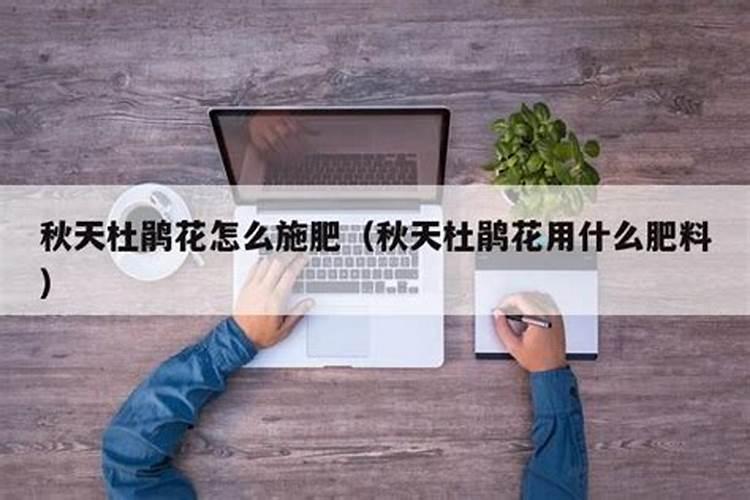 罗汉果施肥注意事项及方法 罗汉果施肥注意事项及方法介绍