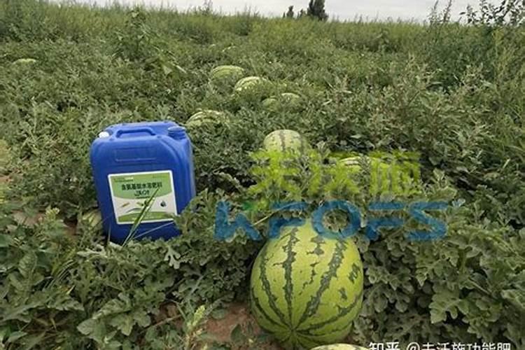 水溶肥是什么肥料,水溶肥料怎么使用效果更好