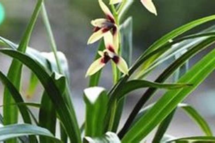 ...他将木柴架空一些,这样做的目的是( ) A.使木柴与空气充