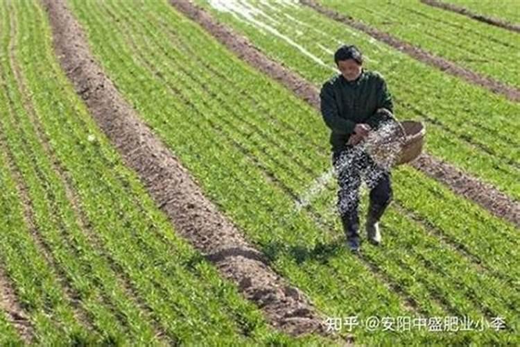 茄子水溶肥多少钱一吨？水溶肥什么样的好？水溶肥使用方法!