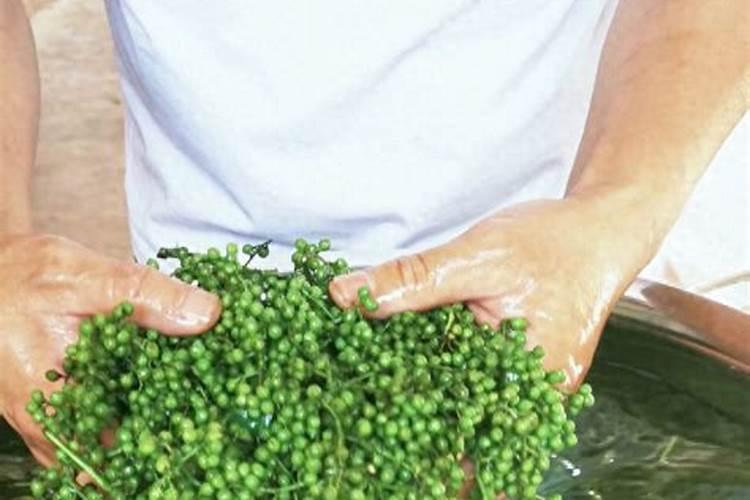 杨梅膨果肥用什么肥最好(杨梅膨果期施什么肥料又大又甜)