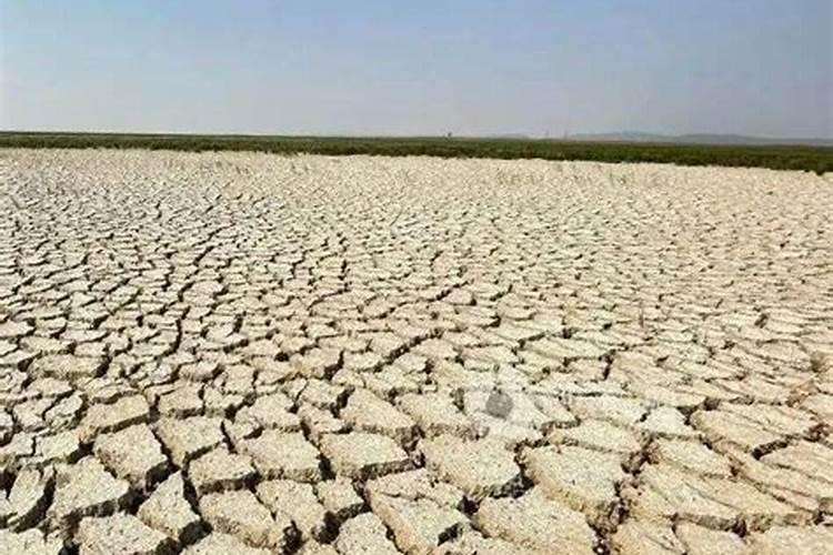 钙镁磷肥多少钱一吨