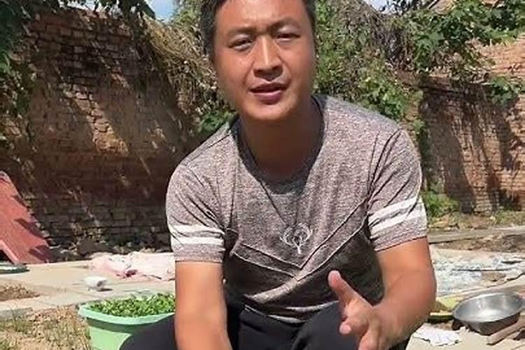 小白菜栽培要喷什么叶面肥品质才好
