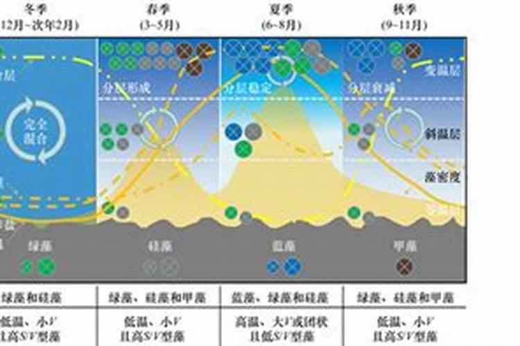 芸苔素内酯会促进苦瓜开裂吗