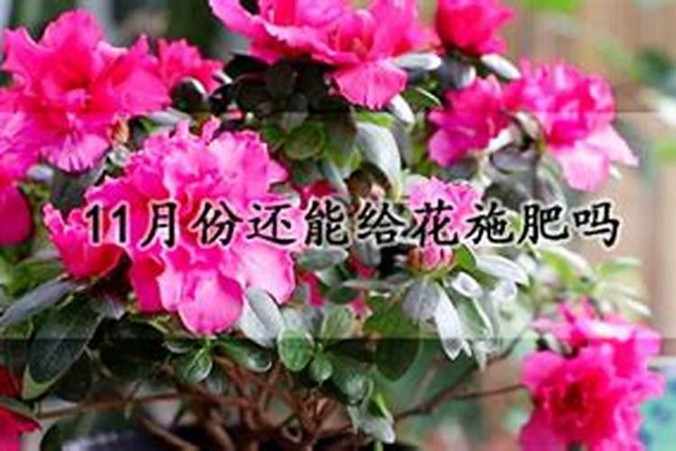 冬季北方管理温室大棚黄瓜,水肥怎样使用能保证产量高？