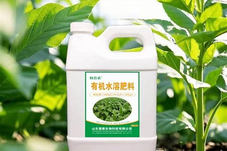 氮肥是什么做的