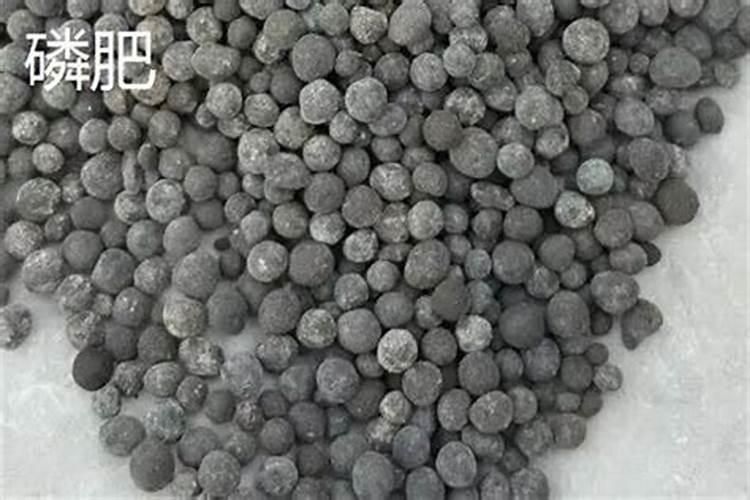 鉴别磷肥和钾肥的简易方法