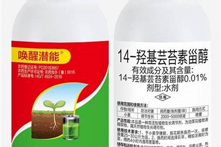 小麦浇水施肥方法