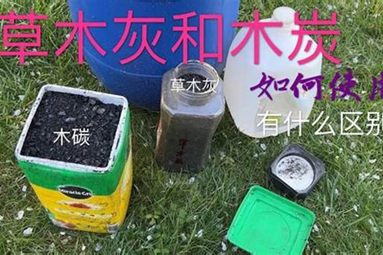 辣椒膨果最快最好的水溶肥