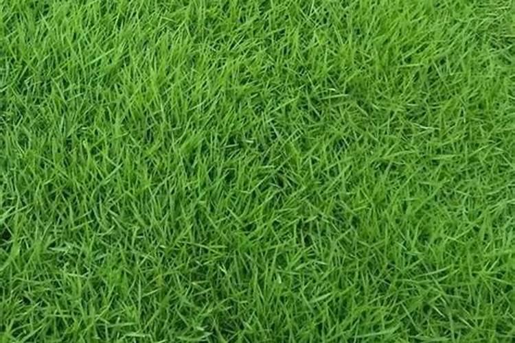 王祯发明了什么