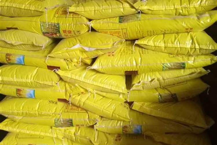 柑桔根施磷酸二氢钾能让柑橘早熟吗？品质能提高吗？施用量多少？