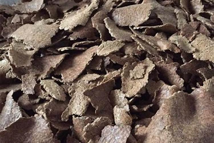 罗汉松的叶面肥怎么弄