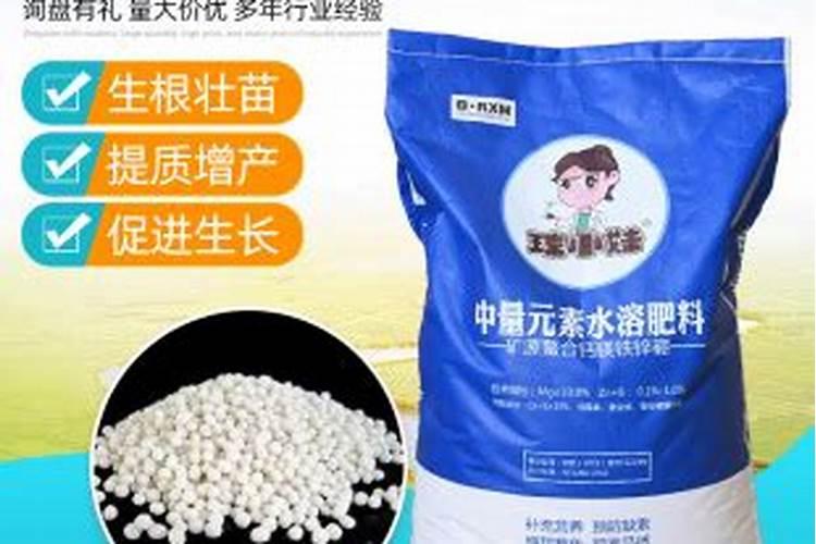 甘蔗可以当牧草用嘛？