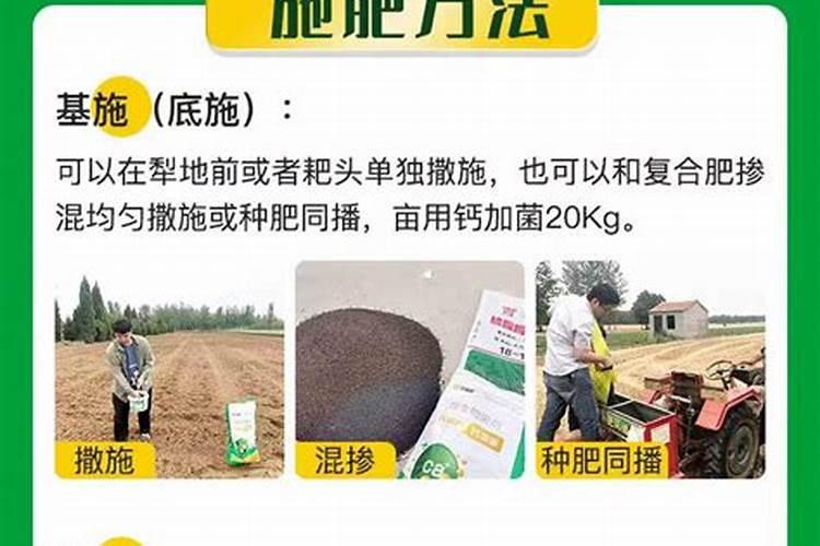 甘蔗十大最佳肥料