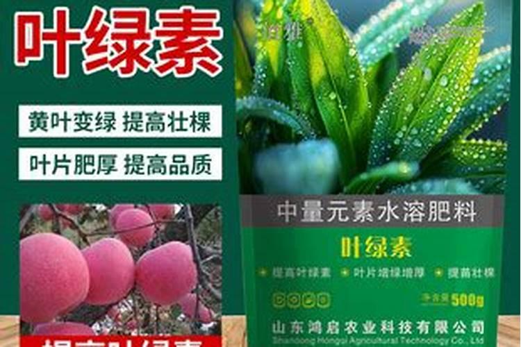 草木灰种菜的正确使用方法