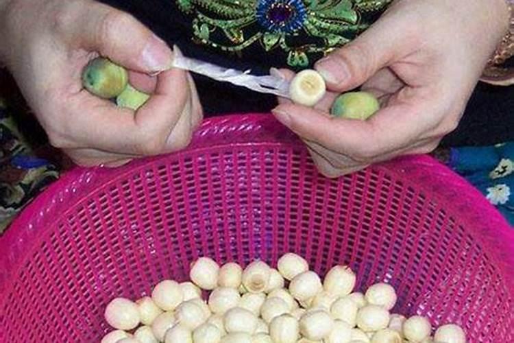 氮肥是什么肥料