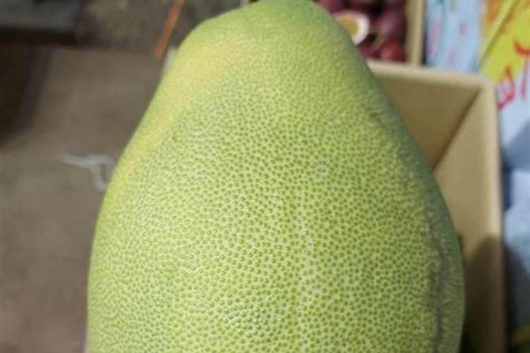 柚子树施什么肥料最好