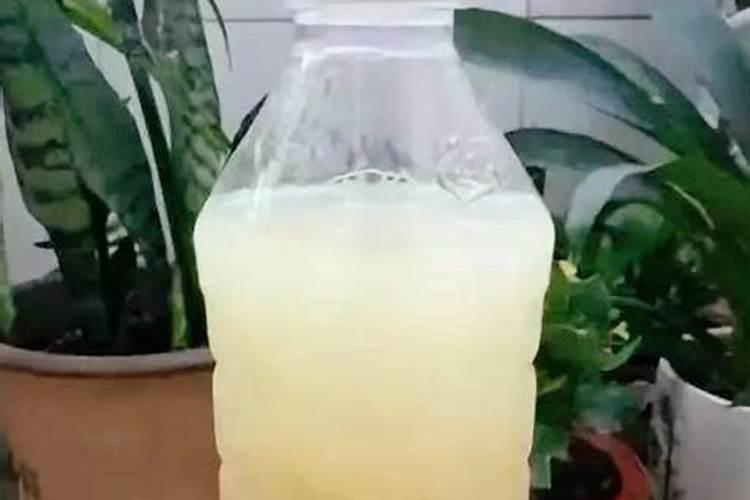 打了亚磷酸钾后几天能打钙肥
