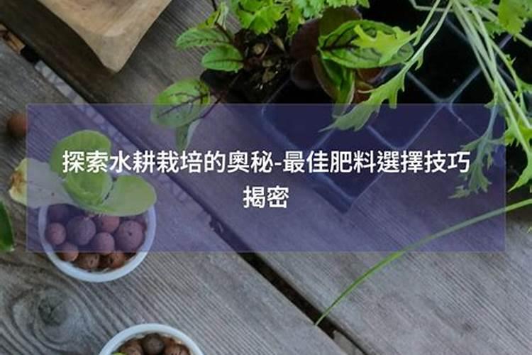 樱桃膨大期施肥用什么肥料？樱桃结果期哪些肥料可以用作基肥？