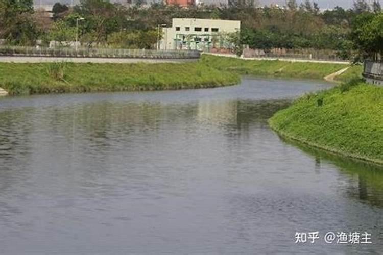 氨基酸解霸在虾池的功效