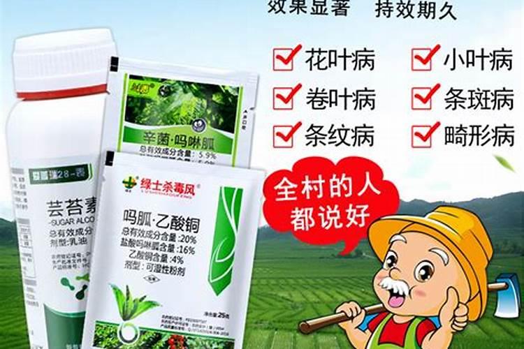 要加病毒病和芸台素一起打吗？还是单打粉虱药