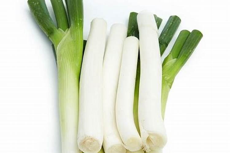 给大树施肥的正确方法