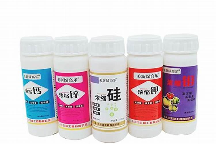 土豆种植前用什么菌药浸种好？怎样处理？