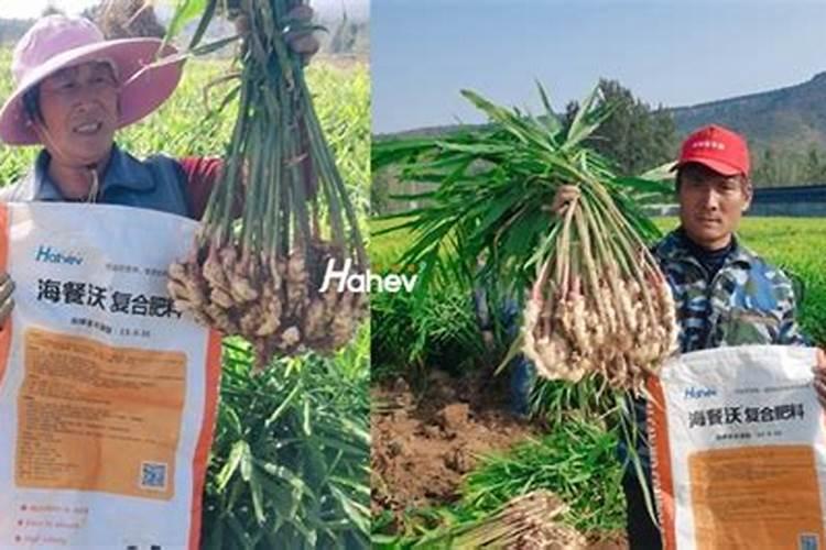大颗粒水溶肥怎么用效果好？