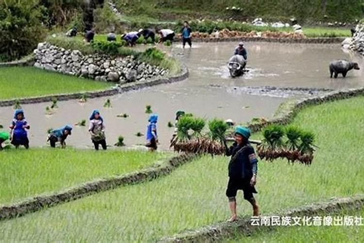 农耕型民族文化特点的例子