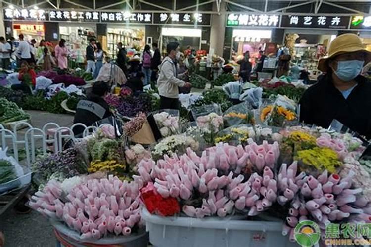 格桑花要施肥吗