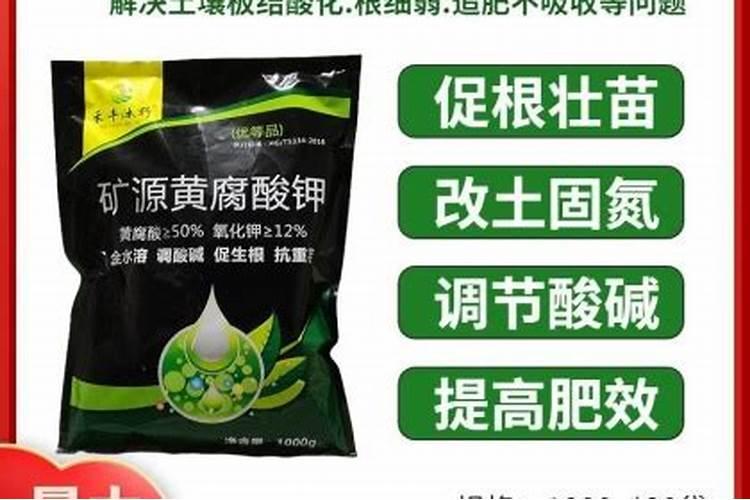 果树沃柑什么时间施肥好？怎样让果实快速转色？沃柑膨果着色肥料“调色师...