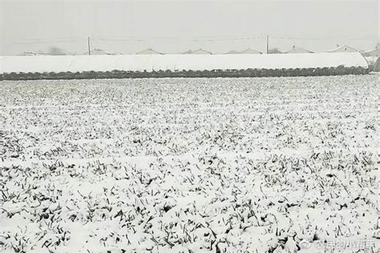 减少碳排放有哪些措施(15个减碳方法措施)