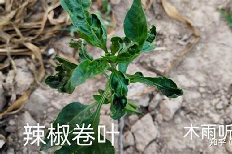 减少碳排放有哪些措施(15个减碳方法措施)