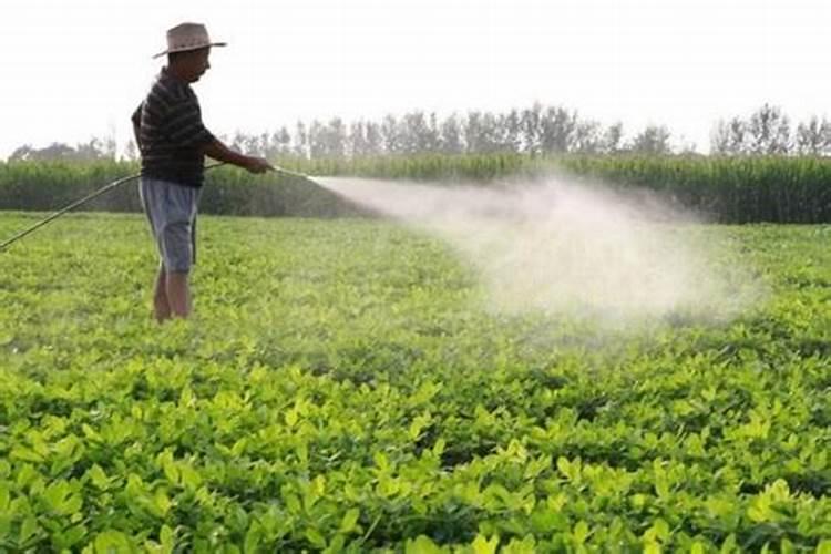 水稻一亩地用多少钾肥