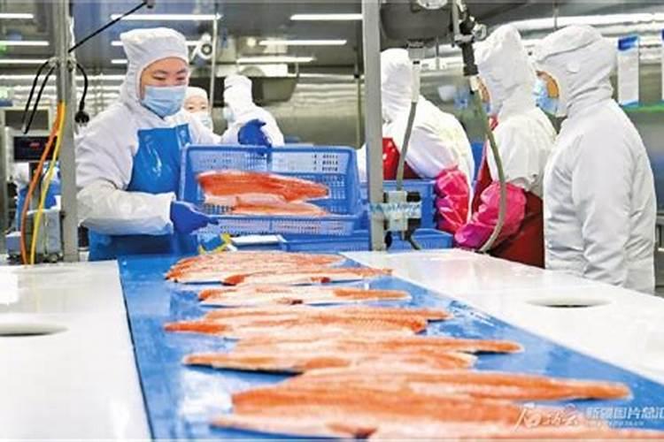 水稻生根叶面肥有哪些品种