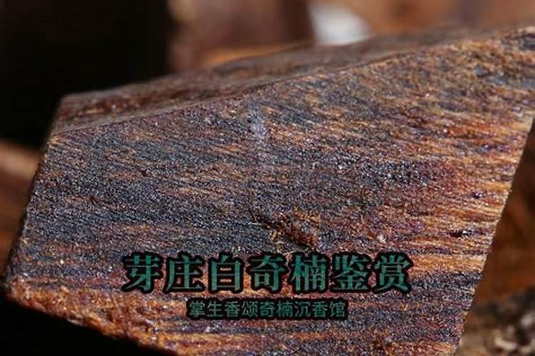 奇楠沉香树苗怎样种植？奇楠苗种植方法