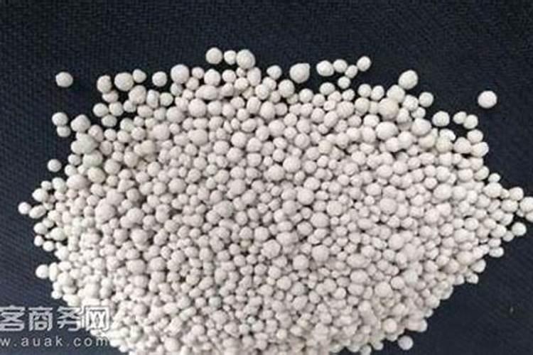 为啥花的叶子不茂盛(为什么花的叶子长不大)