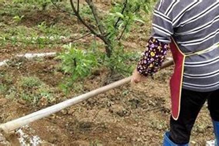 氮肥施多了怎么补救