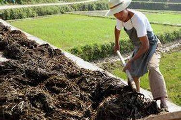 沤肥要1年？加点料,1个月就能用
