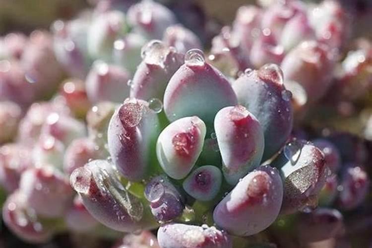 高1化学溶液的稀释问题物质的量浓度的计算