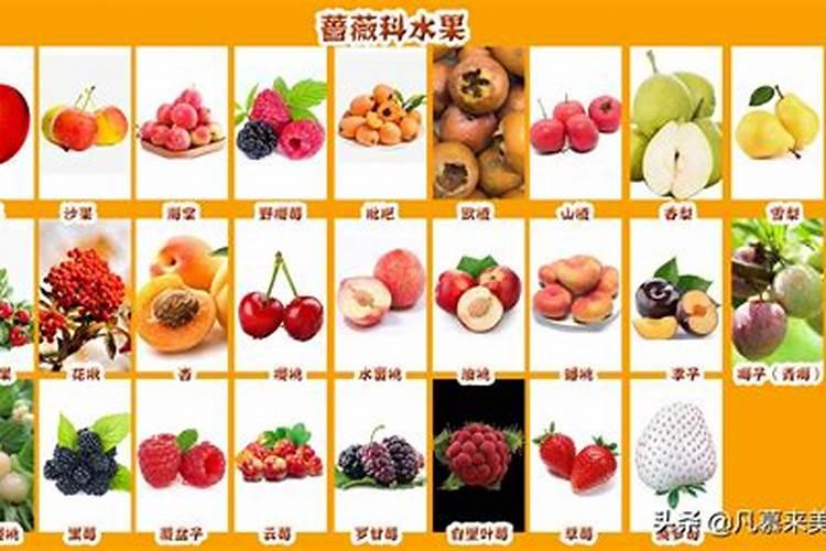 什么东西含氮肥最多